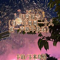 年度报告 - 卡铂 & 玉米岛格