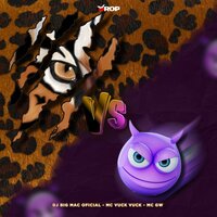 Bonde das Oncinhas x Cheio de Odião - DJ BIG MAC OFICIAL & MC Gw & MC VUK VUK