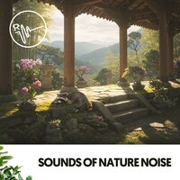 Ensueño del día lluvioso - Dog Relaxation & Weather and Nature Recordings & Amazing Spa Music