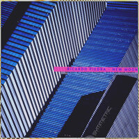 New Moon - Ricardo Piedra & Dio S