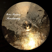 Sycamore - Richie Barshay