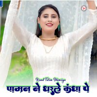 पामन ने धरले कंधा पे - Brand Talim Bhimsiya & Star Irfan Pahat
