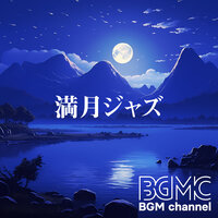 29.5 Days - BGM channel & New York Trio