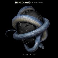 How Did You Love - Shinedown & Twine