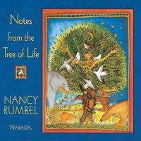 Delicate Balance - Nancy Rumbel