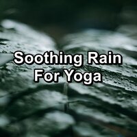 Rain for Brain Relaxation and Mindfulness in the Evening - Sleep Sounds Of Nature & Nature and Rain & Nature Sounds – Sons de la nature