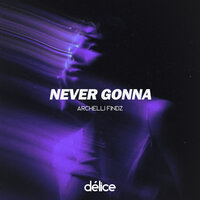Never Gonna - Archelli Findz