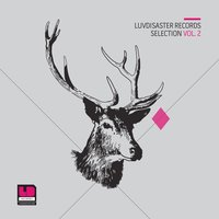 Back & Forth - In:Sight & Duoscience