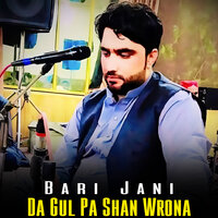 Da Gul Pa Shan Wrona - Bari Jani
