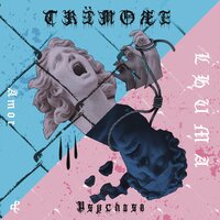 Instawahn - Tremøre