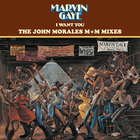 I Want You - Marvin Gaye & John Morales
