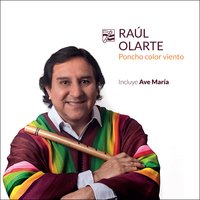 La Canción No Olvida - Raul Olarte & Enrique Llopis