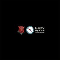 Метеоритами - Марсу нужны любовники