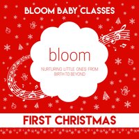 Bloom Christmas Shake - Bloom