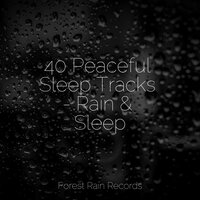 Rain Dripping from the Roof - Nature Sounds Artists & Nature Sounds Nature Music & Weather Sounds