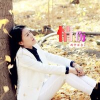 情伤 - 雨中百合