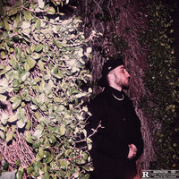 Never on Time - DiNO