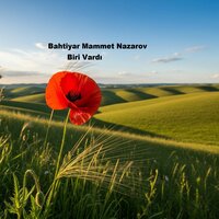 Bir Boşluk - Bahtiyar Mammet Nazarov