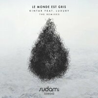 Le Monde Est Gris - Kintar & Who Else