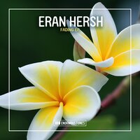 Fading - Eran Hersh