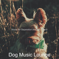 Vibrant Moods for Resting Dogs - Dog Music Lounge