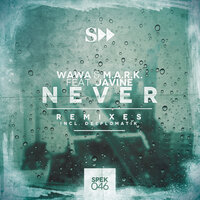 Never - Wawa & M.A.R.K & Javine & Deeplomatik