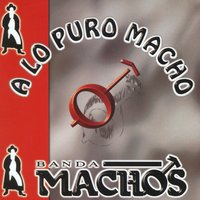 Mi luna, mi estrella - Banda Machos