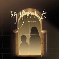 所谓的长大 - 极光类型