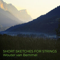 Tango Pizzicati - Wouter van Bemmel