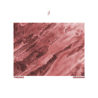 Planetary Dub - Tweakz