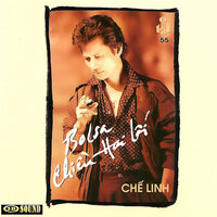 Trong Tầm Mắt Đời - Chế Linh