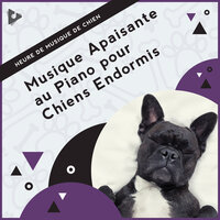 Ambiance de fond pour le sommeil - Heure de Musique de Chien & Musique Relaxante pour Chiens & Musique Apaisante pour Chiots