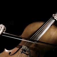 Peaceful Pets Rest Easy - Feel Good Morning Music & Classy Music for Pets & Comfort in Pets