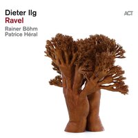 Valse VI - Dieter Ilg & Patrice Heral & Rainer Böhm