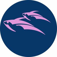 Flying Fishes In The Sky - Alexander Robotnick & Alexander Robotnick & Lore J & Lore J