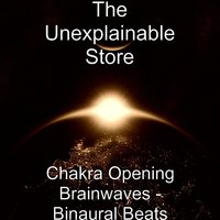 Heart Chakra (Pure Beats) - The Unexplainable Store