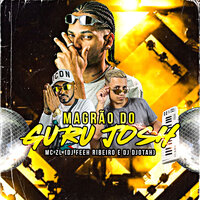 Magrão do Guru Josh - MC ZL & DJ FEEH RIBEIRO & Dj Djotah