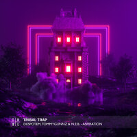 Aspiration - Despotem & Tommygunnz & N.E.B.