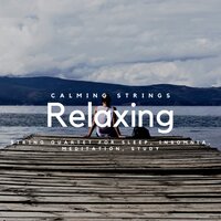 Relaxing String Quartet for Sleep, Insomnia, Meditation, Study - Violin Music & Violins & Calming Strings