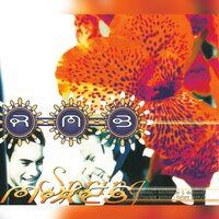 Spring - RMB & Kadoc