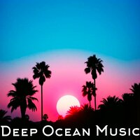 Camel - Miami Party & Deep House & Dance & Paradise Island