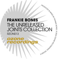 What You Lost - Frankie Bones