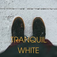 Tranquil chill - Serene snowfall & Silent snow & Still winter