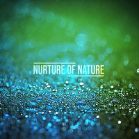 Perpetuum (Rain) - Nurture of Nature