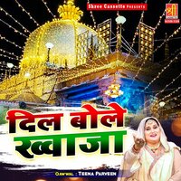 Tera Daman Na Chhodege - Teena Parveen