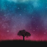 Grateful Masterd - Amor