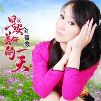 早安美好的一天 - 红蔷薇