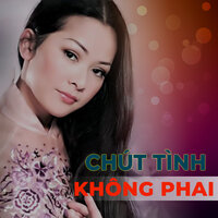 Chiều Tam Nông - Kim Tử Long & Phượng Hằng