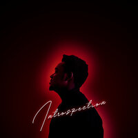 Introspection - Uncle Ticky