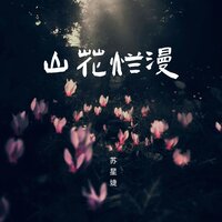 山花烂漫 - 苏星婕